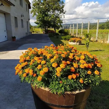 Vivienda Maria Lourdes