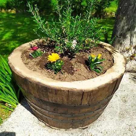 Vivienda Maria Lourdes * Brion