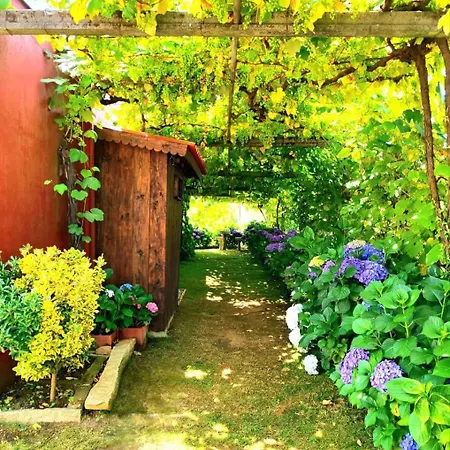 Dom wakacyjny Vivienda Maria Lourdes