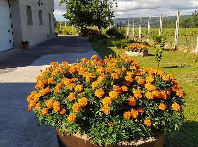 Vivienda Maria Lourdes