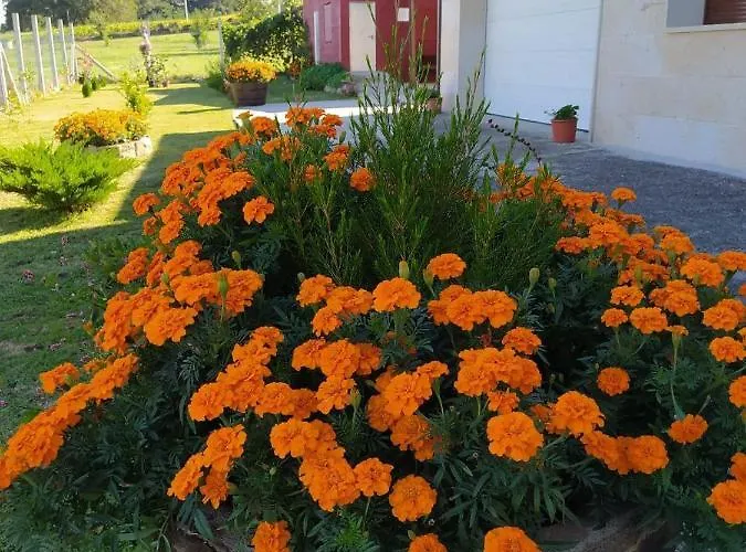 Vivienda Maria Lourdes Brion