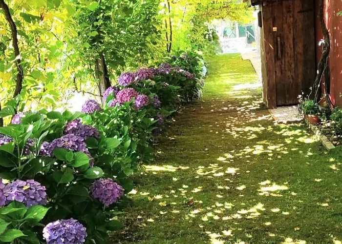 Vivienda Maria Lourdes Brion